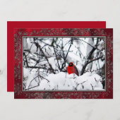 Kardinaal Redbird Sneeuwfoto Kerstflat Feestdagenkaart (Voorkant / Achterkant)
