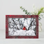 Kardinaal Redbird Sneeuwfoto Kerstflat Feestdagenkaart (Staand voorkant)