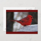 Kardinaal Richelieu Briefkaart (Voorkant / Achterkant)