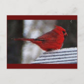 Kardinaal Richelieu Briefkaart (Voorkant)