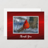 Kardinaal Rode Winter Foto Dank U Briefkaart (Voorkant / Achterkant)