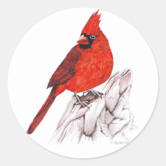 Kardinaal Ronde Sticker