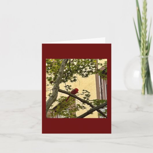 kardinaal rood kaart (Voorkant)