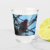 Kardinaal Shot Glas (Voorkant)