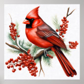 Kardinaal Sierkussen Poster (Voorkant)