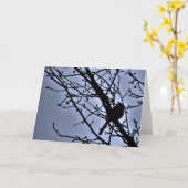 Kardinaal Silhouet, kaart (Gele Bloem)