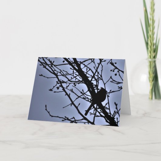 Kardinaal Silhouet, kaart (Voorkant)