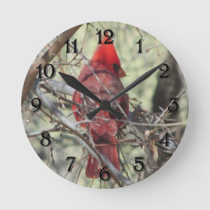 Kardinaal slot ronde klok