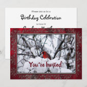 Kardinaal sneeuw 6216 Lijst Birthday Kaart (Voorkant / Achterkant)