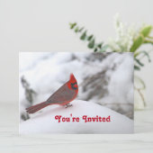 Kardinaal sneeuw 6241 Birthday Kaart (Staand voorkant)