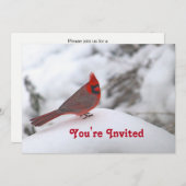 Kardinaal sneeuw 6241 Birthday Kaart (Voorkant / Achterkant)