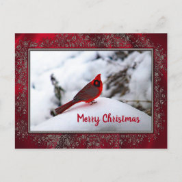 Kardinaal Sneeuw 6245 Lijst Kerstmis Briefkaart