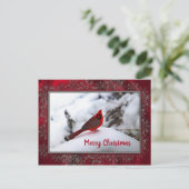 Kardinaal Sneeuw 6245 Lijst Kerstmis Briefkaart (Staand voorkant)