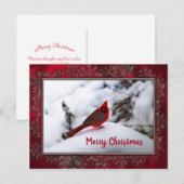 Kardinaal Sneeuw 6245 Lijst Kerstmis Briefkaart (Voorkant / Achterkant)