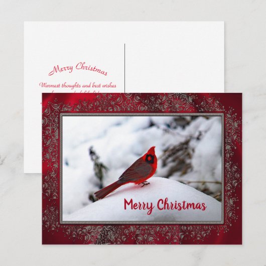 Kardinaal Sneeuw 6245 Lijst Kerstmis Briefkaart (Voorkant / Achterkant)