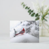 Kardinaal sneeuw briefkaart (Staand voorkant)