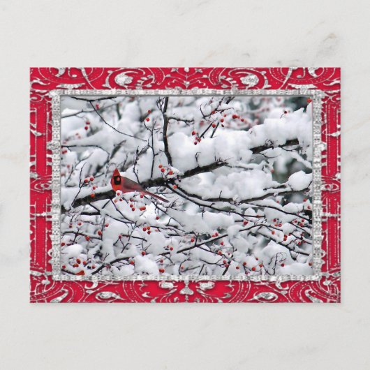 Kardinaal sneeuwboom - Kerstmis Briefkaart (Voorkant)
