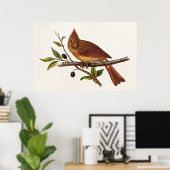 Kardinaal Song Bird Illustratie - Vrouw Poster (Thuiskantoor)