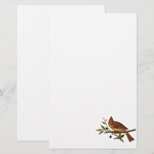  Kardinaal Song Bird Illustration - 1800's Briefpapier (Voorkant / Achterkant)