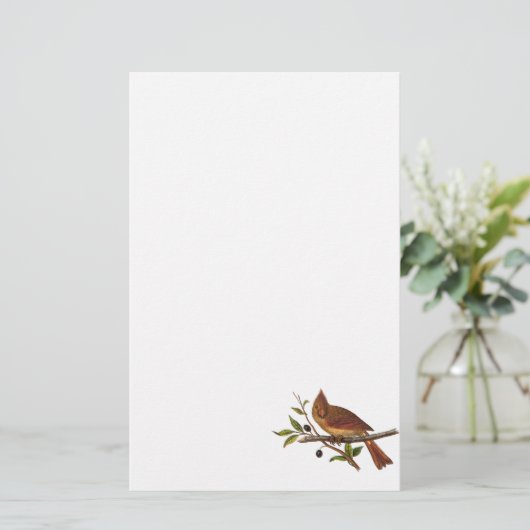  Kardinaal Song Bird Illustration - 1800's Briefpapier (Staand voorkant)