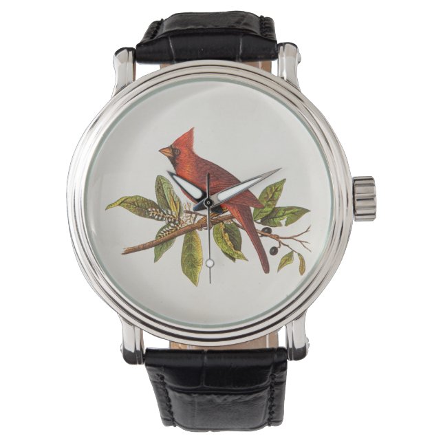  Kardinaal Song Bird Illustration - 1800's Horloge (Voorkant)