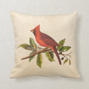  Kardinaal Song Bird Illustration - 1800's Kussen