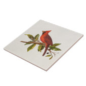  Kardinaal Song Bird Illustration - 1800's Tegeltje (Zijkant)