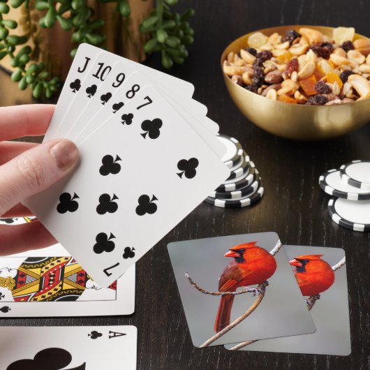 Kardinaal speelkaartjes pokerkaarten (Insitu)