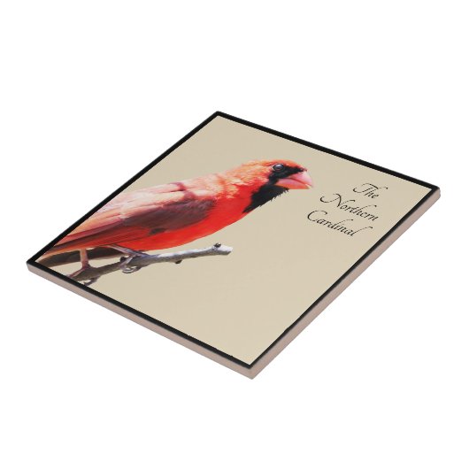 Kardinaal Tegeltje (Zijkant)