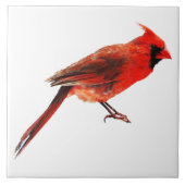 Kardinaal Tegeltje (Voorkant)