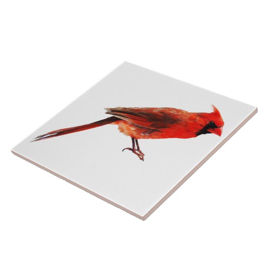 Kardinaal Tegeltje (Zijkant)