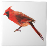 Kardinaal Tegeltje (Voorkant)