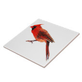 Kardinaal Tegeltje (Zijkant)