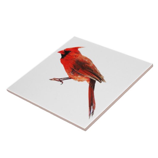 Kardinaal Tegeltje (Zijkant)