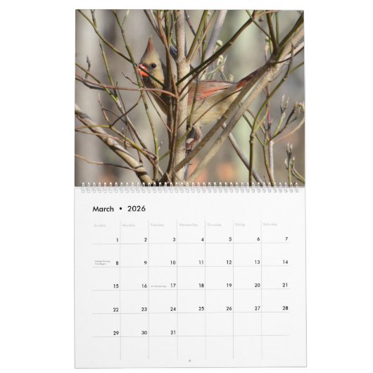 Kardinaal tijdschema 2020 kalender (Mar 2026)