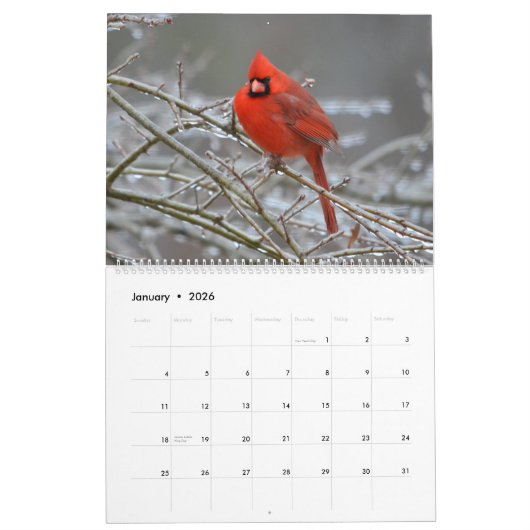 Kardinaal tijdschema 2020 kalender (Jan 2026)