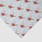 Kardinaal Tissuepapier (Detail)