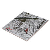 Kardinaal tussen besneeuwde takken tegeltje (Zijkant)