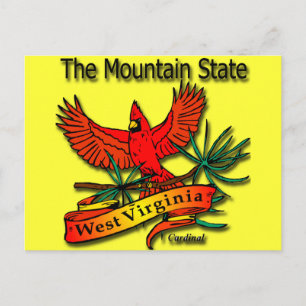 Kardinaal van de staat West Virginia Mountain Briefkaart