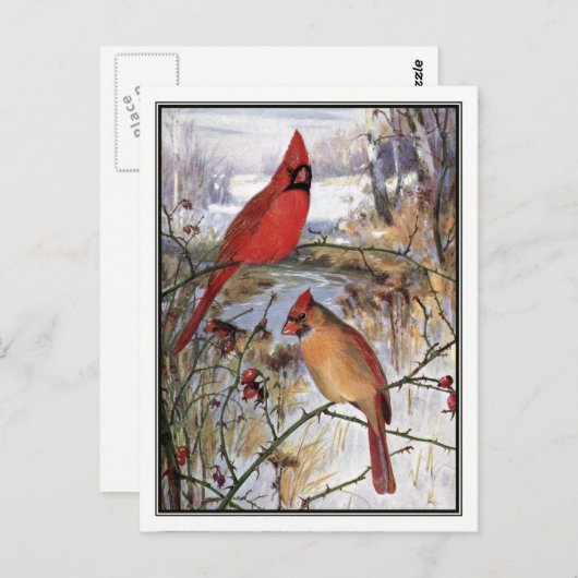  kardinaal van Robert Bruce Horsfall Briefkaart (Voorkant / Achterkant)