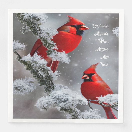 Kardinaal verschijnen engelen in de buurt van Heri Servet (Voorkant)