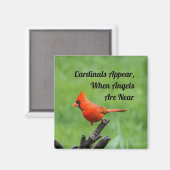 Kardinaal Verschijnt Engelen Bij Magneet Decor (Voorkant / Achterkant)
