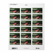 Kardinaal verzendlabel etiket (Full Sheet)