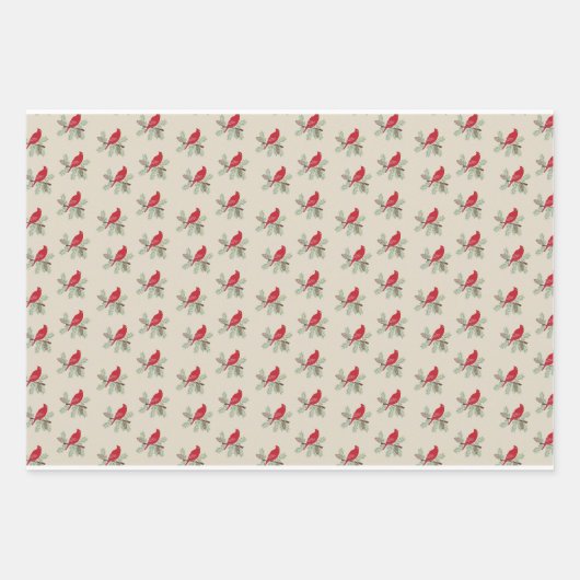 Kardinaal Viering: Feestelijk inpakpapier (Voorkant)