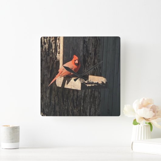 Kardinaal Vierkante Klok (Huis)