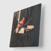 Kardinaal Vierkante Klok (Hoek)