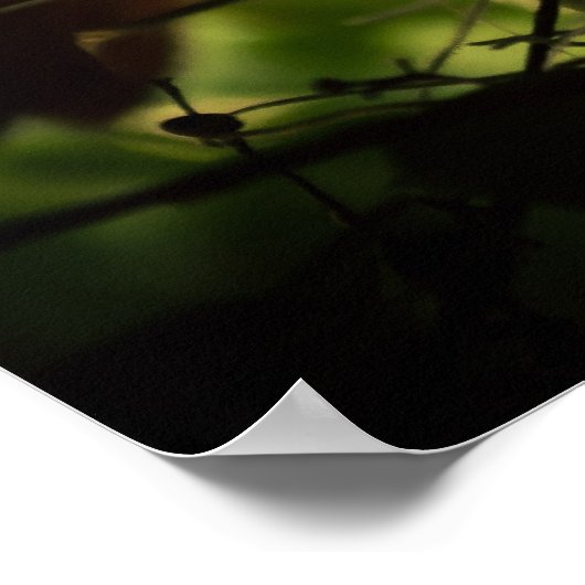 Kardinaal voer poster (Hoek)