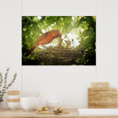 Kardinaal voer poster (Keuken)