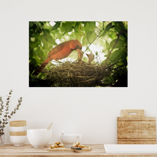 Kardinaal voer poster (Keuken)