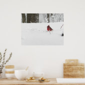 Kardinaal vogel in de wintersneeuwfoto poster (Keuken)